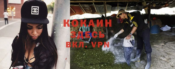 гидра Алексеевка