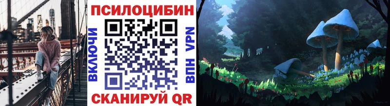 Псилоцибиновые грибы Psilocybine cubensis  Кизилюрт 